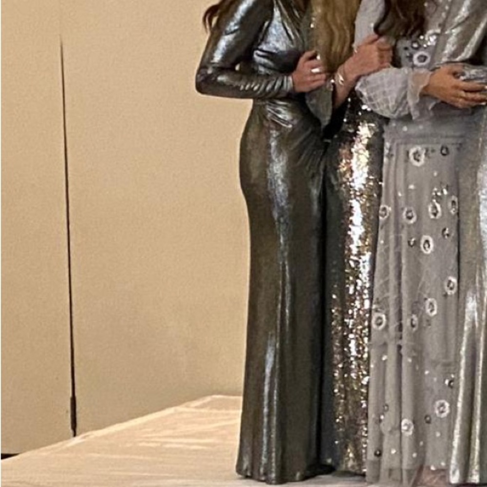 Silver Gown - Picture 4 of 5